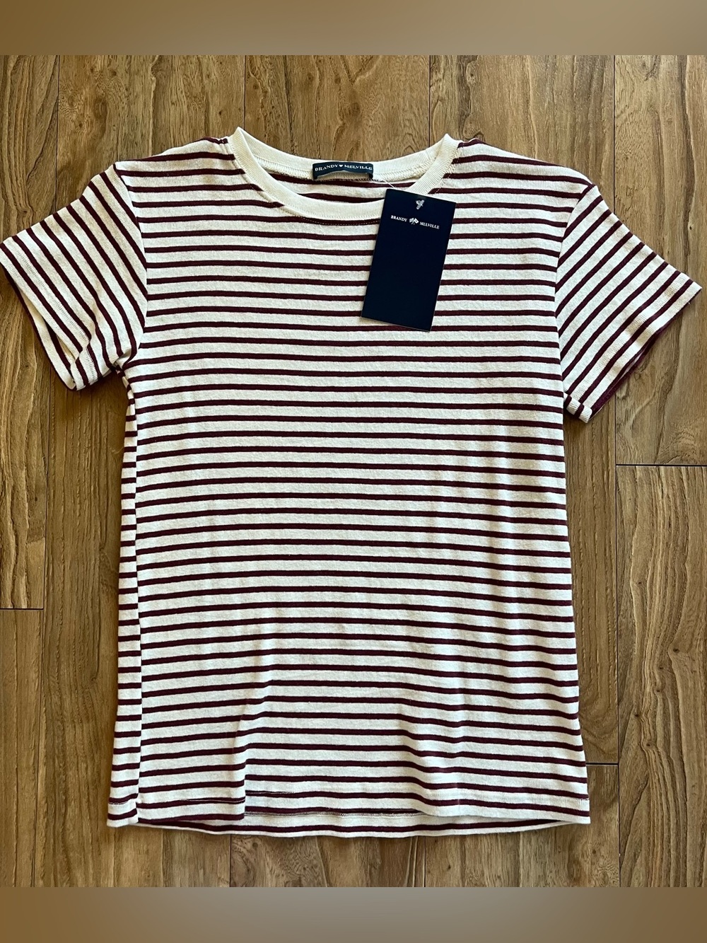 Brandy Melville NWT cream & burgundy striped top